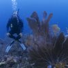 Mindful Diving Colombia